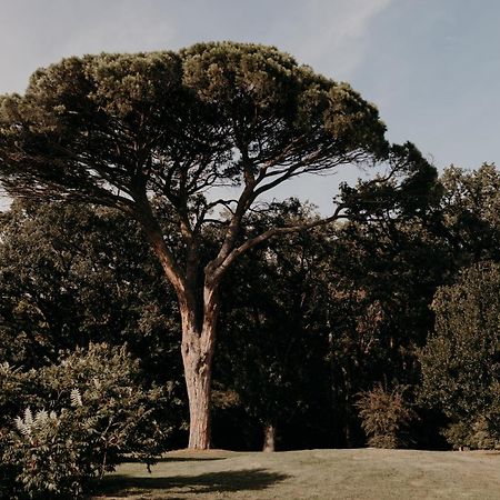 Domaine D'En Fargou Hotel Saint-Sulpice  Екстериор снимка